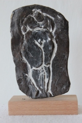 2007relief i_bronce (3)