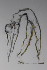 papier2d_2440